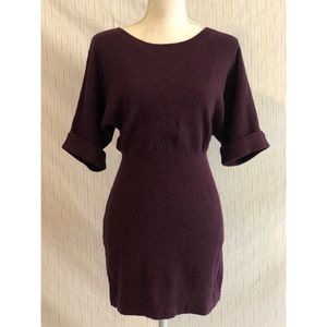 EXPRESS Glittery purple fitted dress